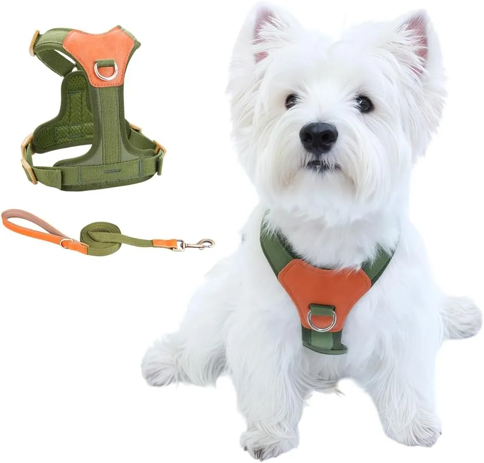 No-Pull No-Choke Dog Harness and Leash Set - Adjustable Soft Padded Vest, Lightweight Retro Design for Small Medium Dogs and Puppies, Easy Control and Comfortable Walk (Green, M)