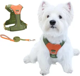 No-Pull No-Choke Dog Harness and Leash Set - Adjustable Soft Padded Vest, Lightweight Retro Design for Small Medium Dogs and Puppies, Easy Control and Comfortable Walk (Green, M)